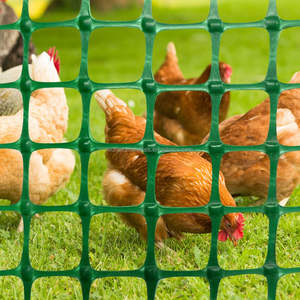 Filet de clôture en <span class=keywords><strong>plastique</strong></span> vert <span class=keywords><strong>pour</strong></span> protéger la volaille, les poulets, les canards, le jardin potager, le verger, l'étang à poissons et les grilles - Product Image 1