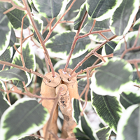 Grand arbre artificiel Ficus de 160 cm avec pot noir, tronc en bois naturel, feuillage vert réaliste, plante d'intérieur pour la décoration de Noël