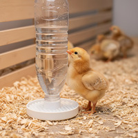 Abreuvoir automatique pour volailles, poussins, canards, cailles, distributeur d'eau pour volailles, équipement d'élevage