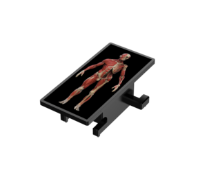 Mesa de Disección Humana Virtual 3D de Alta Resolución, un Dispositivo de Enseñanza de Disección Médica de Nueva Generación, Hecho a Medida - Product Image 3