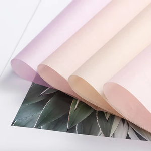 Thiết Kế Sang Trọng Đầy Màu Sắc Các Loại 17 Gói Mô Giấy Tùy Chỉnh Kích Thước Logo In Có Thể Tái Chế Quần Áo Giấy Bao Bì Hoa Mô - Product Image 2