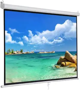 Factory Direct Selling 200x200cm Manual Projector Screen With Auto Lock 80"1:1 Movies Screen For Office Presentation Education