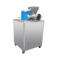 Machine à pâtes spaghetti, macaroni et nouilles commerciale avec moteur, en acier inoxydable de qualité alimentaire, capacité de 20 à 80 kg/h