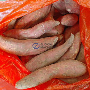 สายการผลิตมันฝรั่งทอดสแตนเลสเกรดอาหาร เครื่องทอดมันฝรั่งแบบต่อเนื่อง - Product Image 2