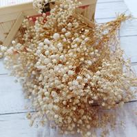 Mini Herbe de la Pampa Séchée en Gros - Fleurs Séchées Naturelles Écologiques Longue Durée pour Décoration de Noël DIY