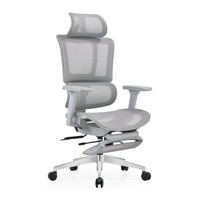 Chaise de bureau ergonomique en maille avec appui-tête 3D réglable, accoudoirs 4D, support lombaire et repose-pieds extractible pour bureau à domicile