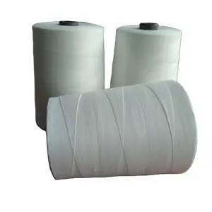 Ne 20/2 20/3 20/4 20/6 20/7 20/9 S-Z Twist 100% spun polyester bag closing sewing thread