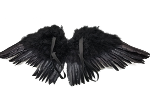 HS ปีกนางฟ้าสำหรับผู้ใหญ่ของขวัญเทศกาลคริสต์มาสชุดปาร์ตี้คอสเพลย์เต้นรำเทศกาลตกแต่งฮาโลวีน - Product Image 2