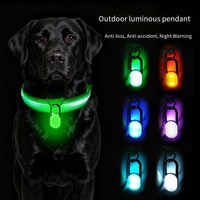 Lampe LED rechargeable USB RGB à clipser pour chien, pendentif lumineux étanche pour collier de chien, lumière LED pour la sécurité des promenades en extérieur