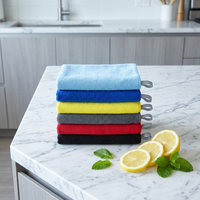 Tavelya Özel Logo 300GSM Mikrofiber Atkı Örgülü Fırçalanmış Hızlı Kuruyan Süper Emici Hafif Spor Seyahat Kamp Havlusu