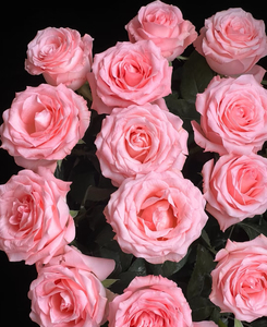 <span class=keywords><strong>Rosas</strong></span> de Plástico Hechas a Mano de Alta Calidad, 4.5cm, Flores Artificiales Duraderas, Antibacterianas y Ecológicas para Decoración de Coronas DIY - Product Image 5