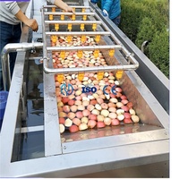 Automatische luchtbelwasmachine voor bladgroenten, fruit, aardappelen, wortelen, komkommers en voedselverwerking