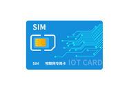 Carte SIM IoT internationale mondiale sans frais mensuels Applicable au dispositif de suivi GPS 2g 4G Aucune restriction de pays ou d'identité