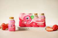 Jus de yaourt Viloe Life probiotique faible en gras pour boire du jus de lait lactique en boîte d'emballage pour boissons gazeuses pour enfants