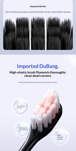 แปรงสีฟันไฟฟ้าอัลตราโซนิกแบบคลื่นเสียง USB C แปรงสีฟันโซนิคไฟฟ้า แบรนด์ส่วนตัว - Product Image 6