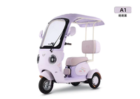 Venta Directa de Fábrica, Triciclos Eléctricos de Acero Personalizables, Modernos y Nuevos, Motor sin Escobillas de 60V, Autonomía Superior a 60 km, para Uso Doméstico