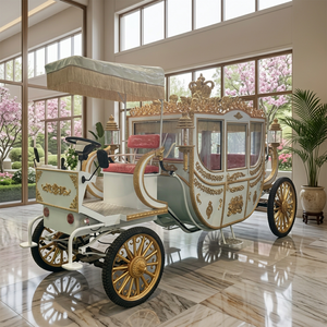 ZOWN Chariot Royal de Luxe Élégant à Chevaux Électrique 6 Places Pneus en Caoutchouc Batterie 60V 80A Garantie 2 Ans Visite des Sites Touristiques - Product Image 1