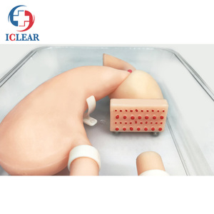 Modelo de entrenamiento de endoscopia de estómago de alta fidelidad, para entrenamiento de GASTROSCOPIO - Product Image 4