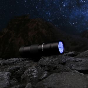 Livraison rapide Lampe de poche UV 12 LED Petite torche UV portable 395nm Lumière ultraviolette UV Durcissement Détection de billets contrefaits - Product Image 5