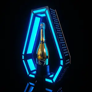 Custom logo champagne Suitcase bottle Presenter LED for Night Club