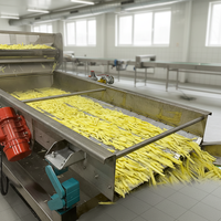 LTK Volledig Automatische Elektrische Industriële Fruit- en Groente-Fritesmachine, Lijn voor Diepvriesfrieten