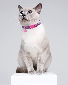 KingHon Adjustable Small Dog Pet Cat Nylon Collar With Cute Flowers Printing and Small Bell Solid Pattern Easy to Fit - Product Image 6