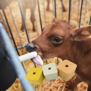 Blok Lick garam hewan dengan Vitamin dan Mineral untuk ternak atau domba