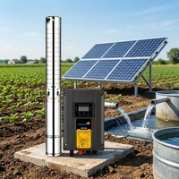 Pompe à eau solaire haute pression 3HP en acier inoxydable 304, pompe à puits profond avec turbine 280V pour le pompage de l'eau