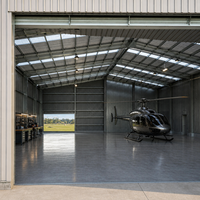 Hangar à avions à grande portée en structure métallique pour la construction de installations aéronautiques et les applications de stockage d'avions