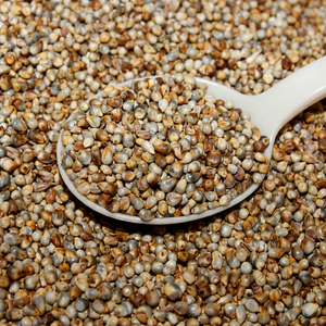 premium bajra <b>grain</b> export - Product Image 1