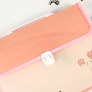 Hengyao Hot Selling A4 Size Waterproof <strong>File</strong> <strong>Folder</strong> for <strong>Document</strong> Custom Pattern - Product Image 6