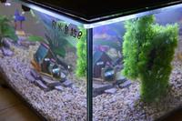 Table basse aquarium moderne de luxe en verre acrylique carré avec emballage en boîte pour usage extérieur