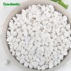Pierres <span class=keywords><strong>de</strong></span> rivière décoratives GARDMATE blanches comme <span class=keywords><strong>neige</strong></span> 0,6-1 cm 1,8 kg modernes et imperméables pour aquarium, réservoir <span class=keywords><strong>de</strong></span> poissons, plantes en pot, décoration <span class=keywords><strong>de</strong></span> jardin - Product Image 3