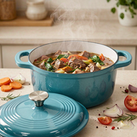 Cocotte en fonte émaillée avec couvercle, résistante au four, robuste, pour la cuisson du pain, le braisage et les ragoûts