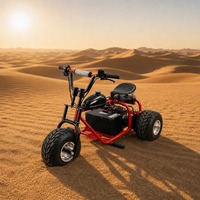 Kart à trois roues électrique 1800W 48V, différentiel, batterie lithium, 2 freins à disque hydrauliques, 45 km/h, autonomie 20 km, 200 kg