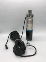 Pompe submersible solaire 24V DC alimentée par l'énergie solaire ou des batteries, pompe à vis simple avec sortie de 1 pouce