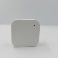 BLE Asset Tracker NRF52810 Chip BLE 100 metros rango baliza