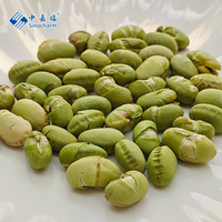 Sinocharm Factory Direct Healthy Snack Flavor 26g Small Pack Wholesale Price Roasted Edamame with Salt