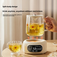 Bouilloire Électrique Multifonctionnelle 500ml à Succès Commercial, 6 Modes de Cuisson, Maintien au Chaud 24H, Bouteille en Verre, Filtre 304 pour Maison et Bureau