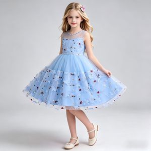 Vestido de niña de las flores, azul cielo, de tul con bordado floral, estilo princesa, para actuación del Día del Niño - Product Image 1