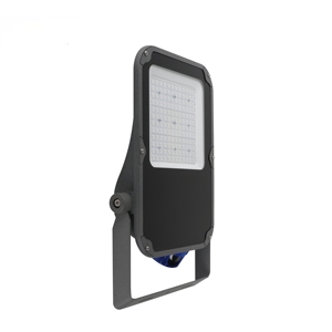 Projecteur LED 50W certifié CE RoHS IP66 de fabrication OEM, éclairage extérieur de haute qualité, étanche, pour jardin et cour - Product Image 3