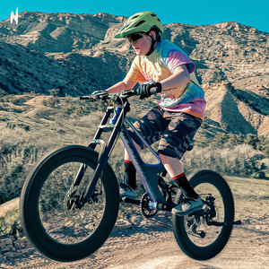 Mountain Bike giovanile da 22 pollici per bambini con freno a disco morbido in lega di magnesio bicicletta con pedale ordinario - Product Image 3