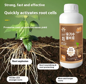Drei Tage neue Wurzeln entstanden Universal Strong Rooting Liquid Humin Acid Organic Dünger für die Transplantation von Obstbäumen - Product Image 4