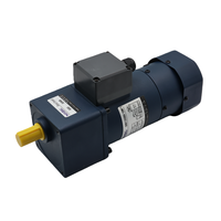 Moteur à induction monophasé haute efficacité 220V avec réducteur de vitesse 120W IE3 60Hz