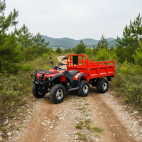 Prix de gros Buggy tout-terrain pour adultes, quad agricole ATV 250cc Quad agricole ATV