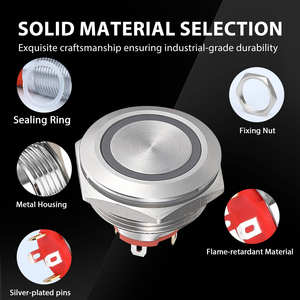 GQ19BF-10E/जे कारखाने की कीमत 19 मिमी धातु पुश बटन स्विच लोगो ip65 वाटरप्रूफ 12 वी 24 वी क्षणिक रोशनी वाली स्विच कार शुरू - Product Image 3