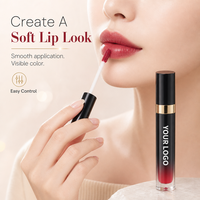 Gloss à lèvres longue tenue effet miroir, fourni avec tube rond noir pour un maquillage nude, aspect naturel, marque privée
