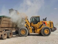 Chargeuse sur pneus haute performance FL966H de 6 tonnes avec prix direct usine