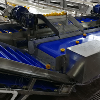 LWT fournit la ligne de production de l'industrie alimentaire machine d'emballage en acier inoxydable transportant le convoyeur à bande bleu