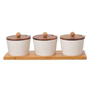 Factory wholesale Japanese kitchen ceramic seasoning pot set home ceramic spice ceramic jar